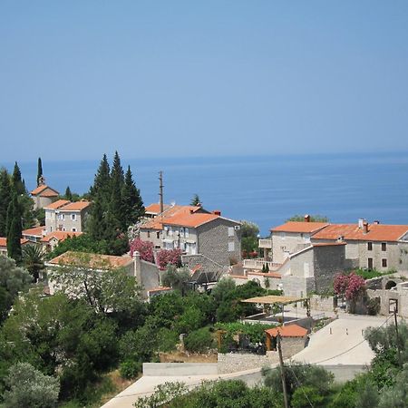 Rezevici Apartments Petrovac Buitenkant foto